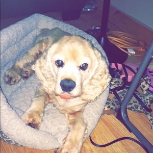 Meet your Posher, Luz